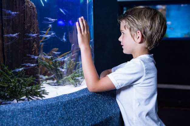 свет в аквариуме